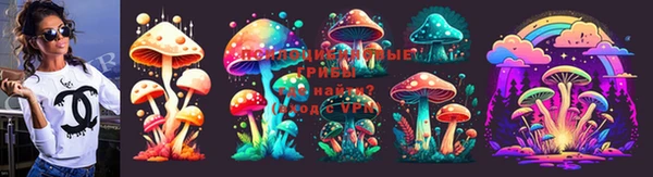 трава Осинники