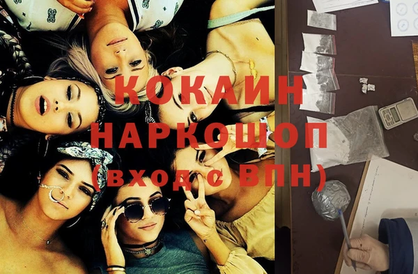 трава Осинники