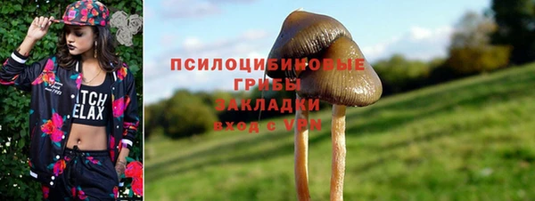 прущие грибы Остров