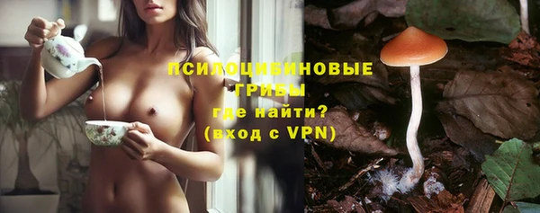 метадон Осташков