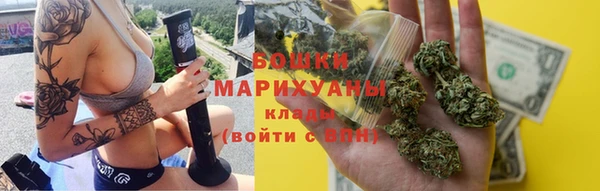 трава Осинники