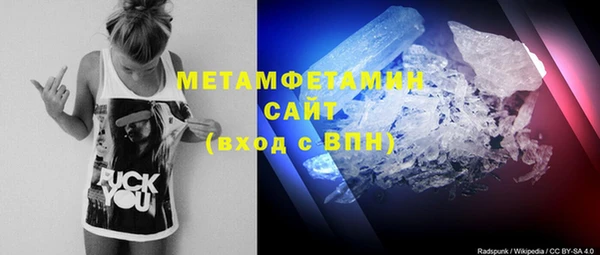 трава Осинники