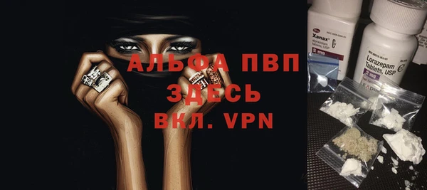 трава Осинники